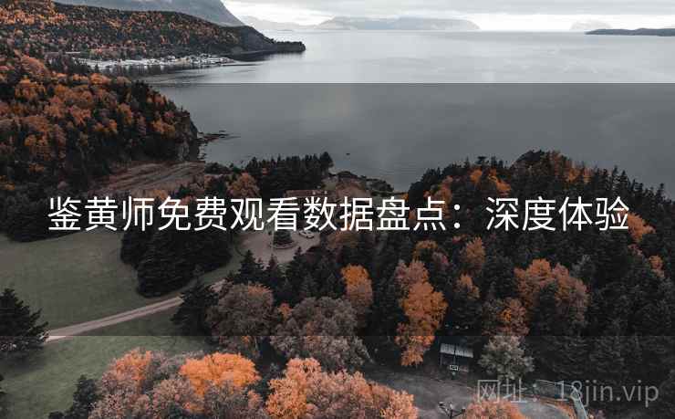 鉴黄师免费观看数据盘点:深度体验 鉴黄师免费观看数据盘点:深度体验