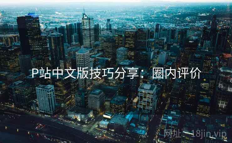 P站中文版技巧分享：圈内评价